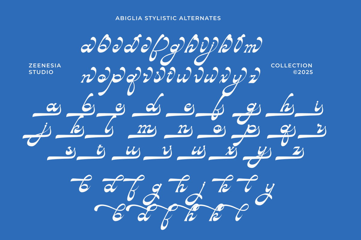 Abiglia, a Script Font by zeenesia (Photo 17 of 17)
