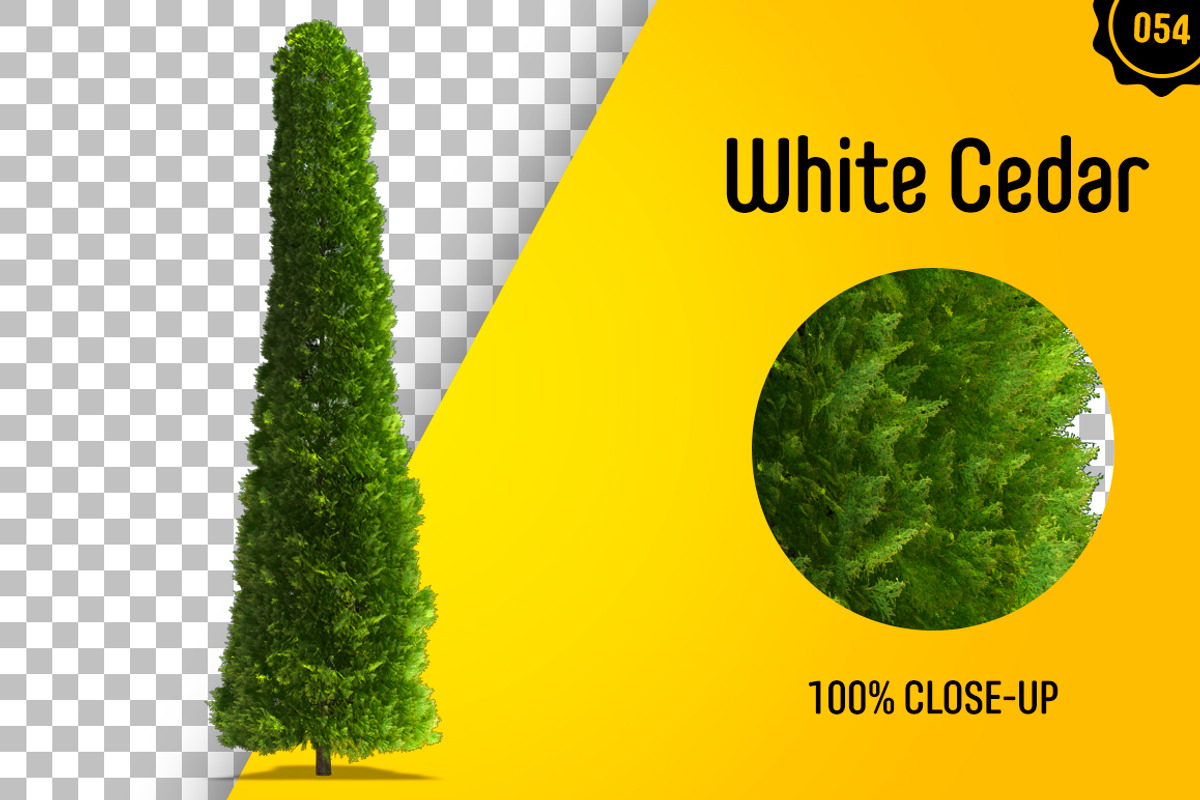CUT OUT TREES - 60 PCS BUNDLE, a Packaging Mockup by 3DSTORE (Photo 55 of 63)
