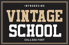 Vintage School