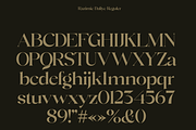 Razimie Daliye - Display Serif Font, a Serif Font by Marvadesign (Thumbnail 8 of 9)