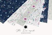 THE SEA INSIDE Watercolor collection, an Object Illustration by Lemaris (Thumbnail 9 of 9)