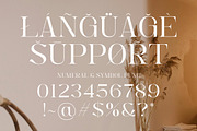 Angela Blissful - Modern Elegant, a Serif Font by Shakira Studio (Thumbnail 8 of 10)