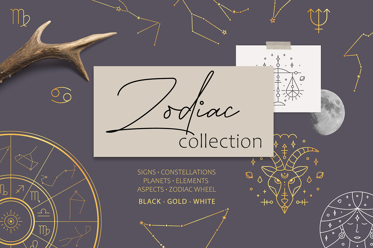 Zodiac Signs and Constellation, an Object Illustration by Alisovna (Photo 1 of 12)