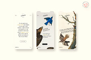 Alchemion - Display Serif Font, a Serif Font by Nomad Visuals (Thumbnail 4 of 9)