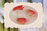 Bloomed in Haze: Floral Backgrounds, a Background Graphic by Purple (Thumbnail 3 of 14)