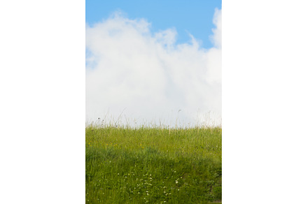 Green open field and blue sky with, a Photo by Barcelona_dreams