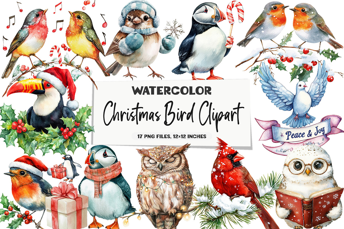 Christmas Bird Clipart, an Illustration by DreamArtGraphic (Photo 1 of 5)
