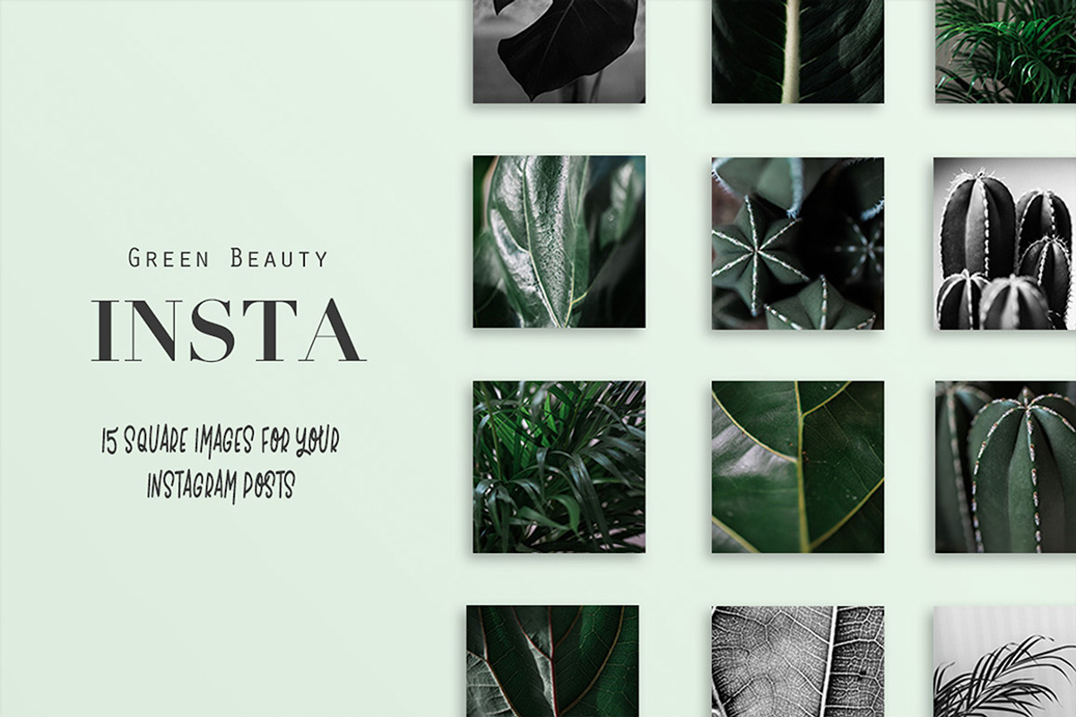 15 Green plant Insta photos, a Product Mockup by Nellaino (Photo 2 of 7)