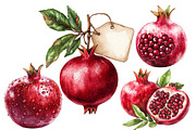 Pomegranate Watercolor Cliparts, an Illustration by Designworld (Thumbnail 6 of 7)