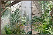 Garden corner, a Wallpaper Graphic by art_gallery (Thumbnail 10 of 10)