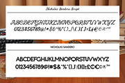 Nicholas Sandero Font Duo Whimsical, a Handwritten Font by Sixtype (Thumbnail 8 of 9)