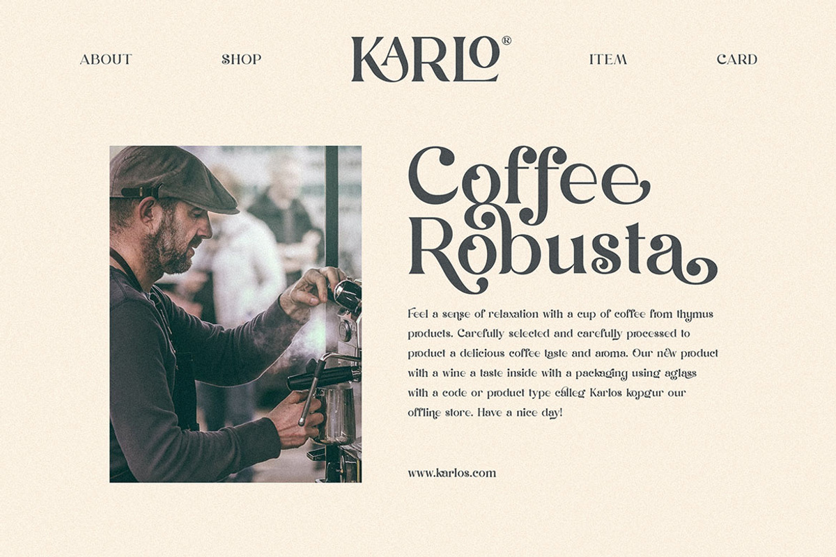 Dunsmuir - Modern Serif Font, a Serif Font by Cruzine (Photo 2 of 9)