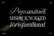Laught Alize, a Serif Font by Godbless Studio (Thumbnail 5 of 10)