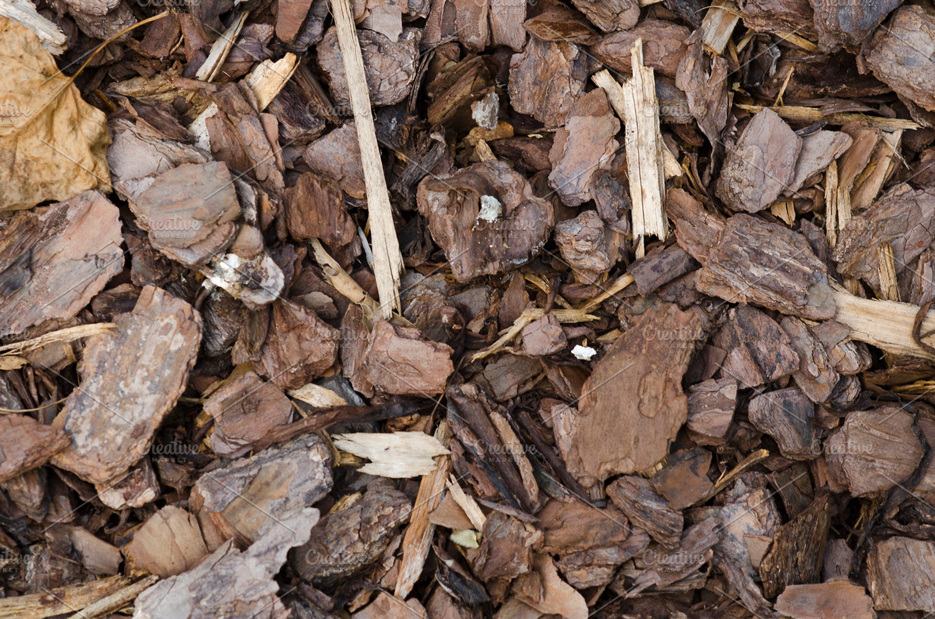 Mulch Texture, a Photo by LisaKoubou