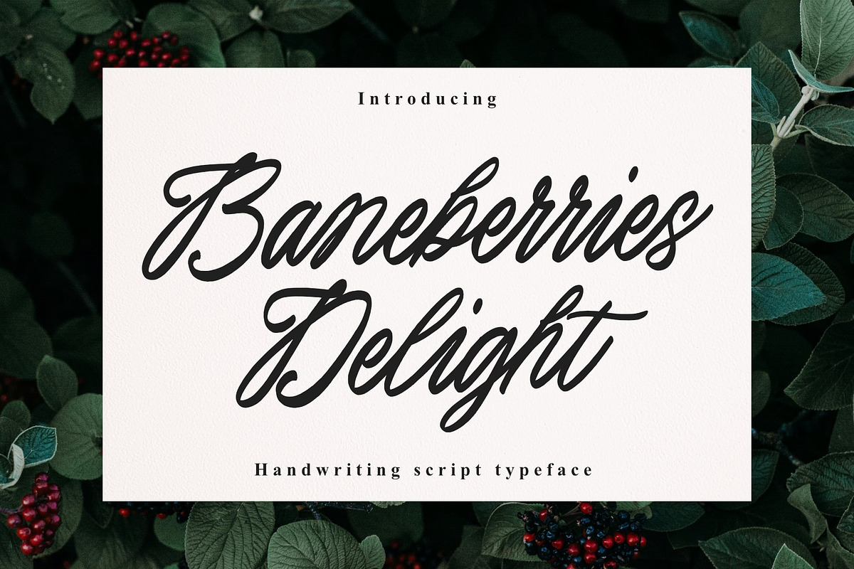 Baneberries Delight Handwriting, a Script Font by Damarletter (Photo 1 of 5)