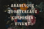 Les Liaisons Dangereuses Font Duo, a Slab Serif Font by Aurelie Maron (Thumbnail 9 of 9)