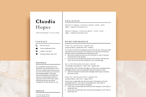 Professional Resume Template Word