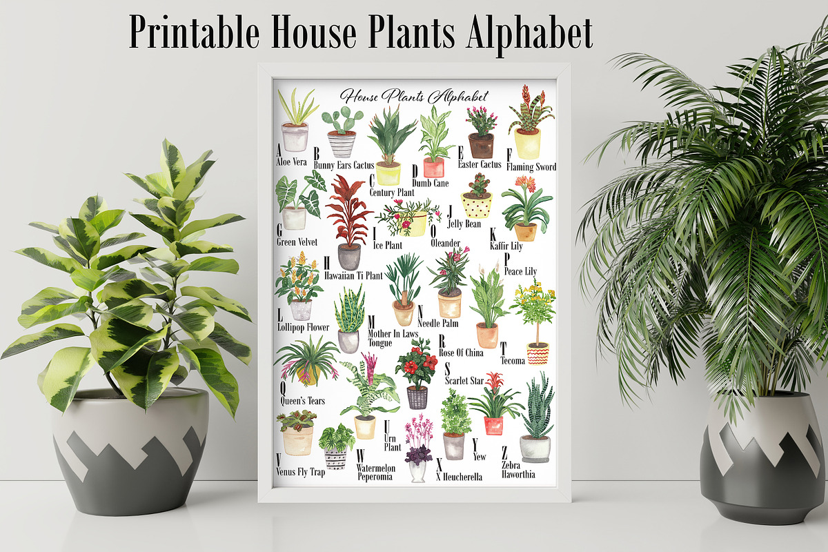 House Plants Alphabet and Clipart, a Decorative Illustration by Visual Animal (Photo 2 of 6)