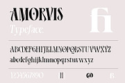 Amorvis, a Serif Font by Naksatra (Thumbnail 11 of 13)