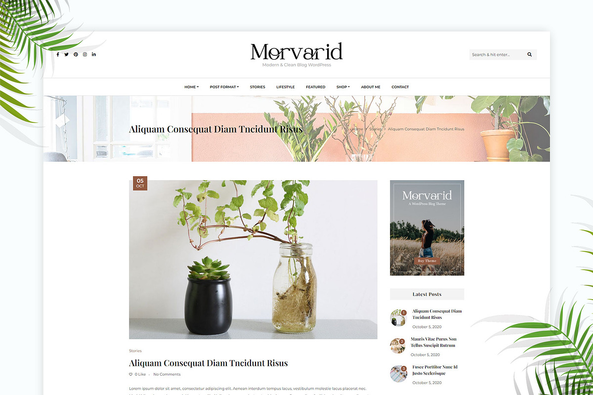 Morvarid - Blog & Shop WP Theme, a WordPress Template by azuratheme (Photo 6 of 6)