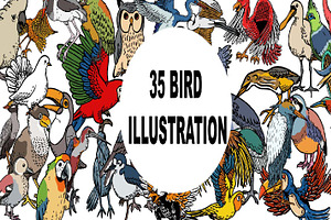 35 Bird Hand Drawing Illustration, an Illustration by Sani crunch