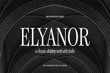 Elyanor Elegant Classic Serif