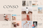 Sans Serif Bundle, a Sans Serif Font by Larin Type Co. (Thumbnail 4 of 12)