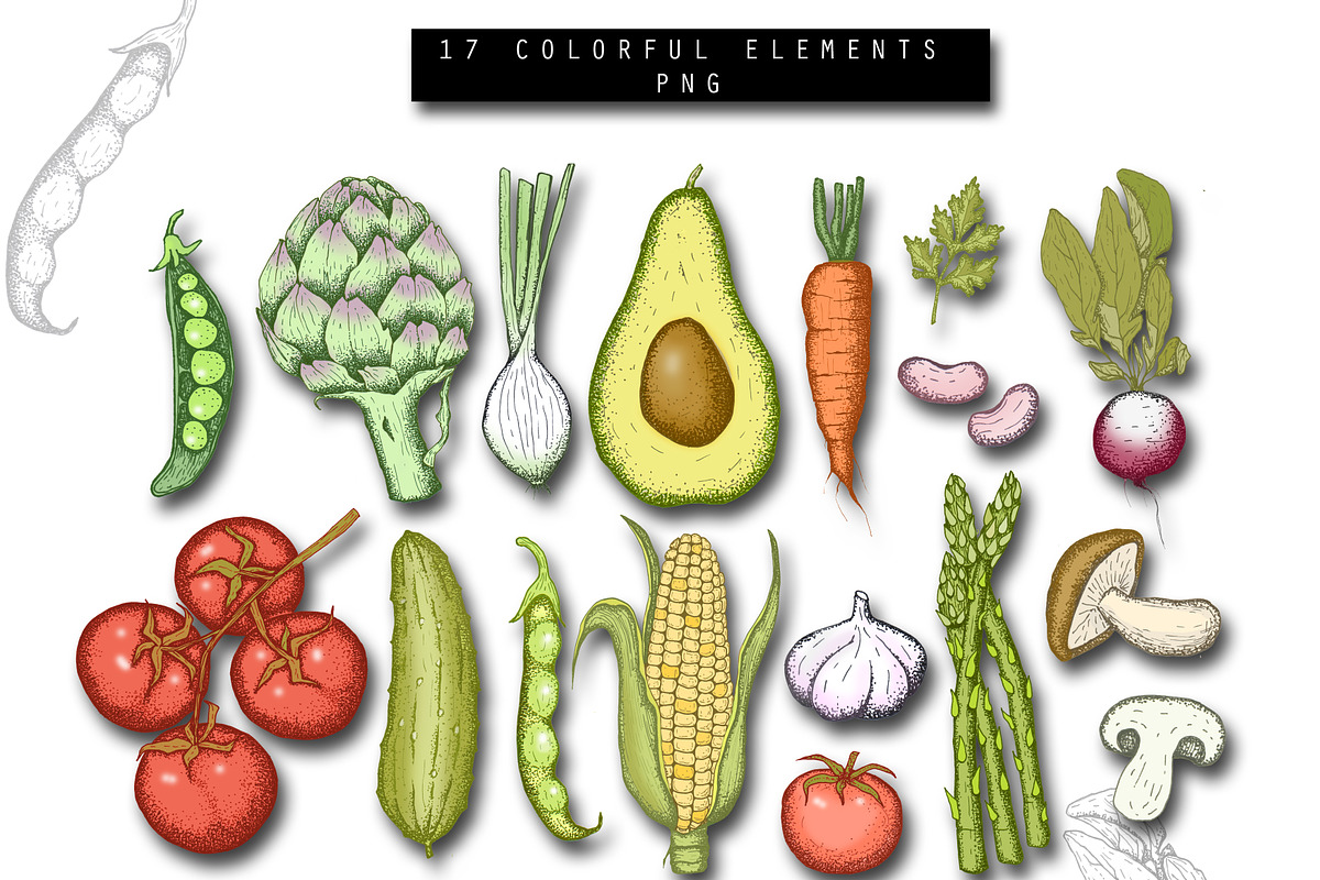 Hand Drawn Vegetables Illustrations, a Graphic by Hand drawn Boutique (Photo 2 of 4)