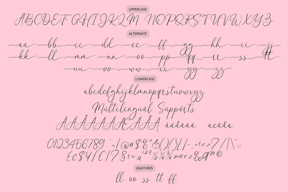 Firmadora, a Script Font by Jackgridden (Photo 3 of 10)