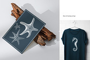 Aquatic Natural History Collection, an Object Graphic by Blixa 6 Studios (Thumbnail 20 of 24)