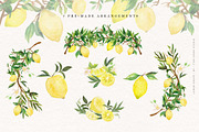 Lemon Grove Watercolor Illustrations, an Illustration by Fire Spark Studio (Thumbnail 5 of 8)