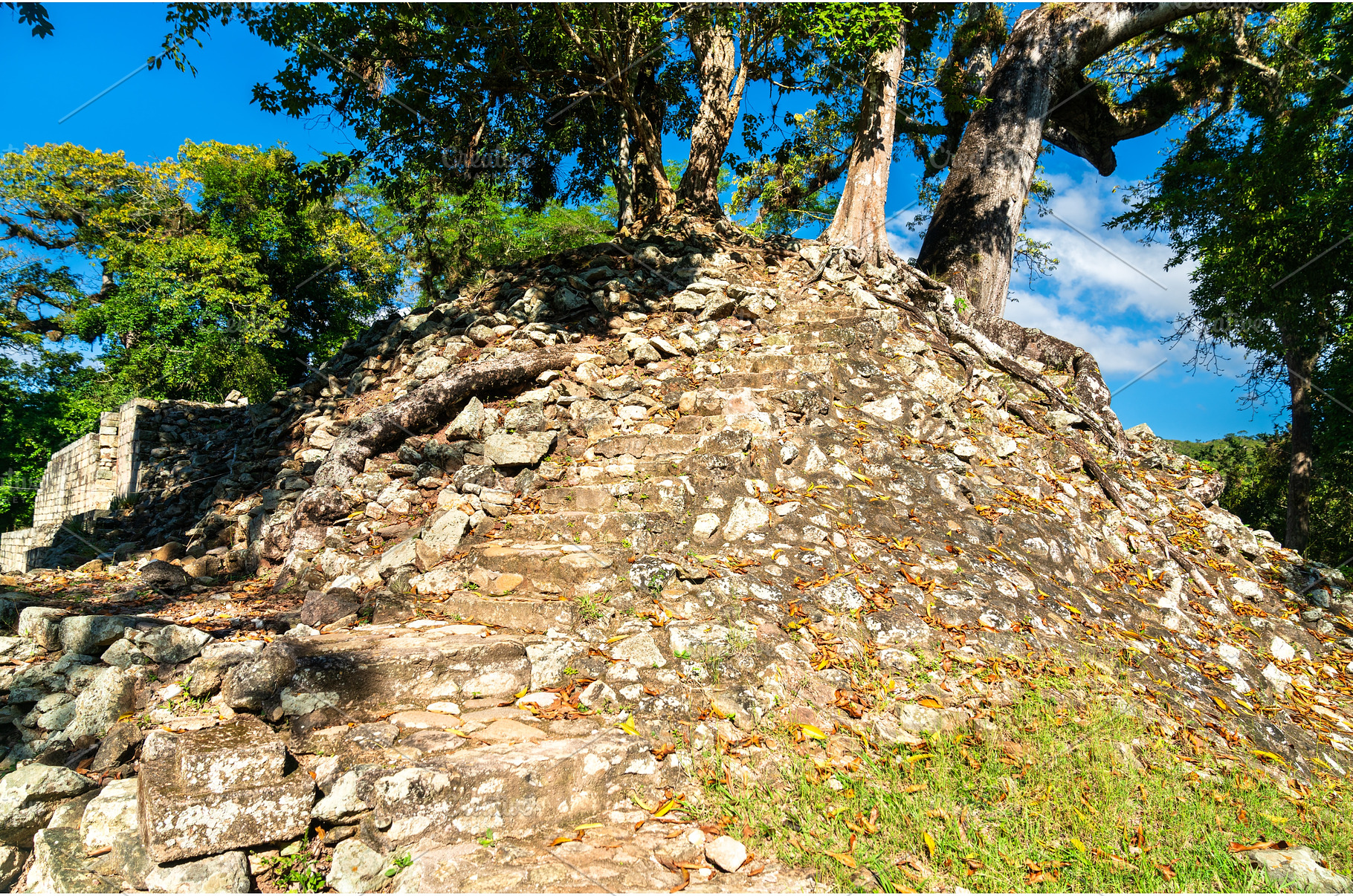 Temple 11 at the Maya Site of Copan, an Architecture Photo by Leonid Andronov