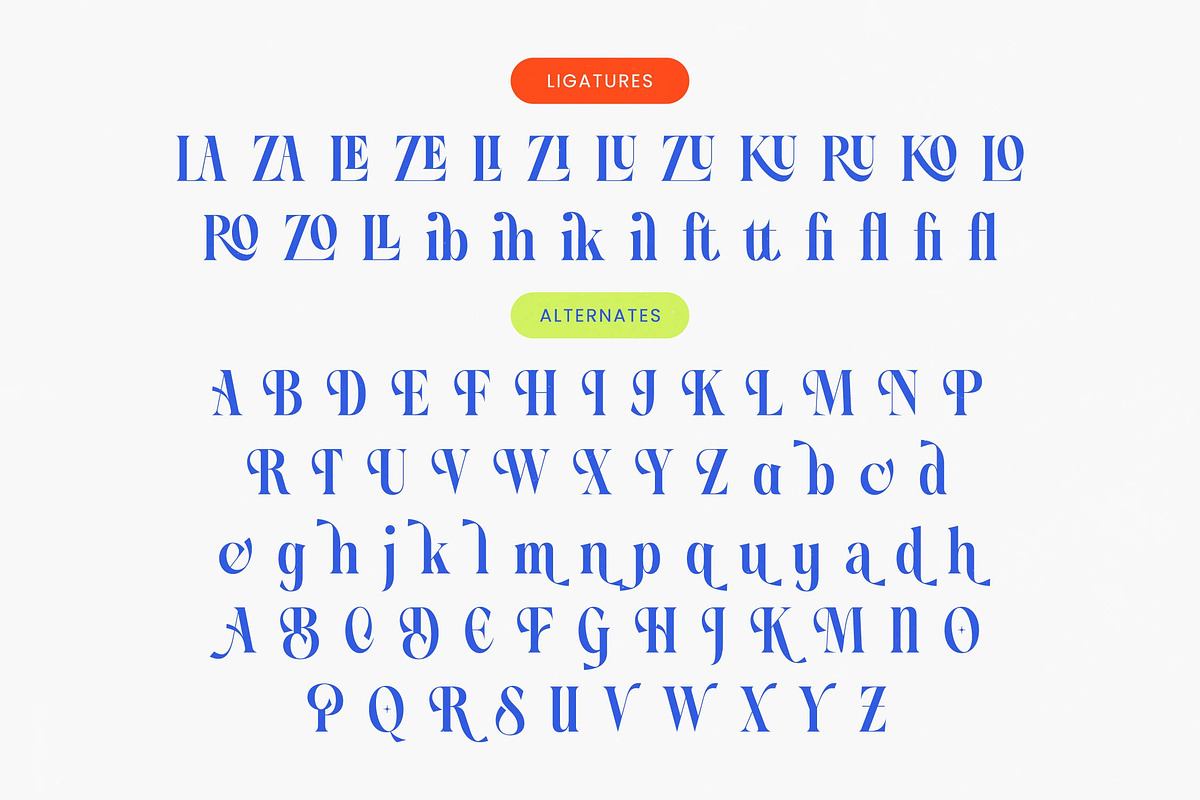 Blinky Kalmie Modern Alternate Serif, a Serif Font by timelesstype.co (Photo 19 of 20)
