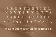 Rumie Denim Elegant Serif Font, a Serif Font by Graphicxell (Thumbnail 8 of 8)