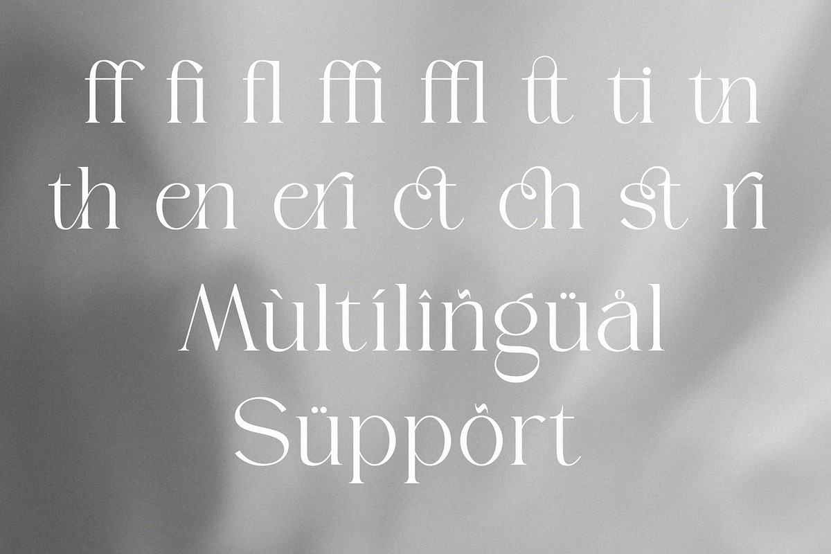 Braven | A Modern Serif Typeface, a Serif Font by ToniStudio (Photo 9 of 10)