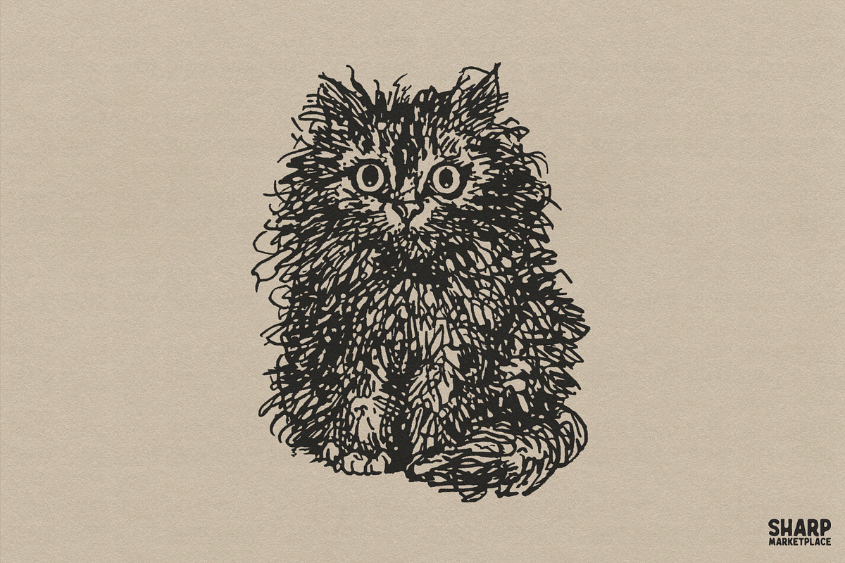 Funny Frazzled Feral Cat, an Object Graphic by SharpMarketplace (Photo 1 of 4)