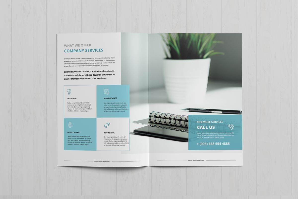 Annual Report Brochure, a Brochure Template by New Lines (Photo 3 of 8)