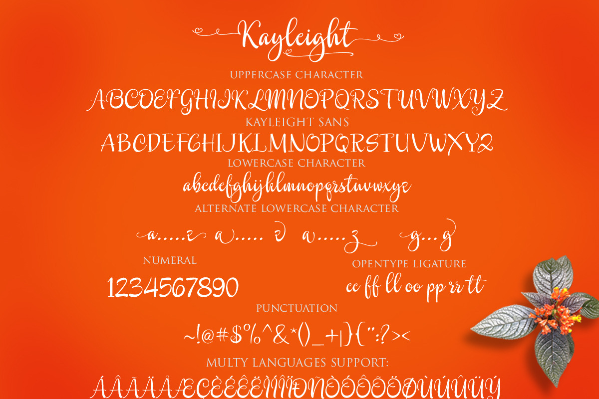 Kayleight, a Script Font by Byuly Ayika (Photo 11 of 12)