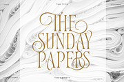 TAN - Variety, a Serif Font by TanType (Thumbnail 4 of 26)