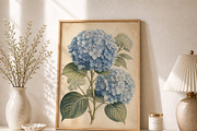 Vintage Blue Hydrangea Botanical Art, a Decorative Illustration by elfy creative (Thumbnail 1 of 6)
