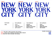 Sidus - Serif font family, a Serif Font by Artistic & Unique (Thumbnail 12 of 14)
