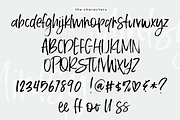 Mintsy - Handwritten Brush Font, a Script Font by KA Designs (Thumbnail 8 of 8)
