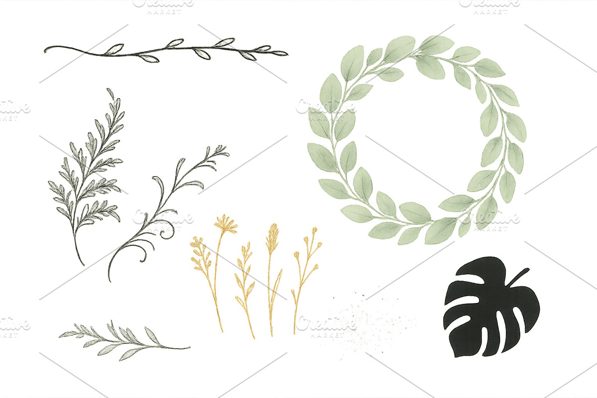 Botanical illustrations of leaves, an Illustration by ZinetroN