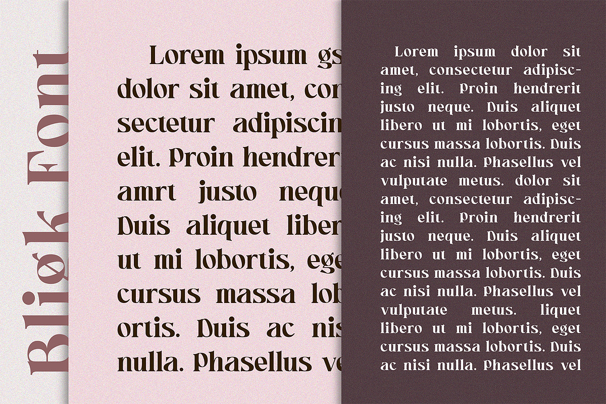Bligk - Vintage Modern, a Serif Font by Khoir (Photo 6 of 15)