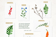 WILDFLOWERS Watercolor Set, a Pattern Graphic by Katerina Osa (Thumbnail 11 of 12)