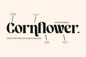 Breviary - Display Typeface