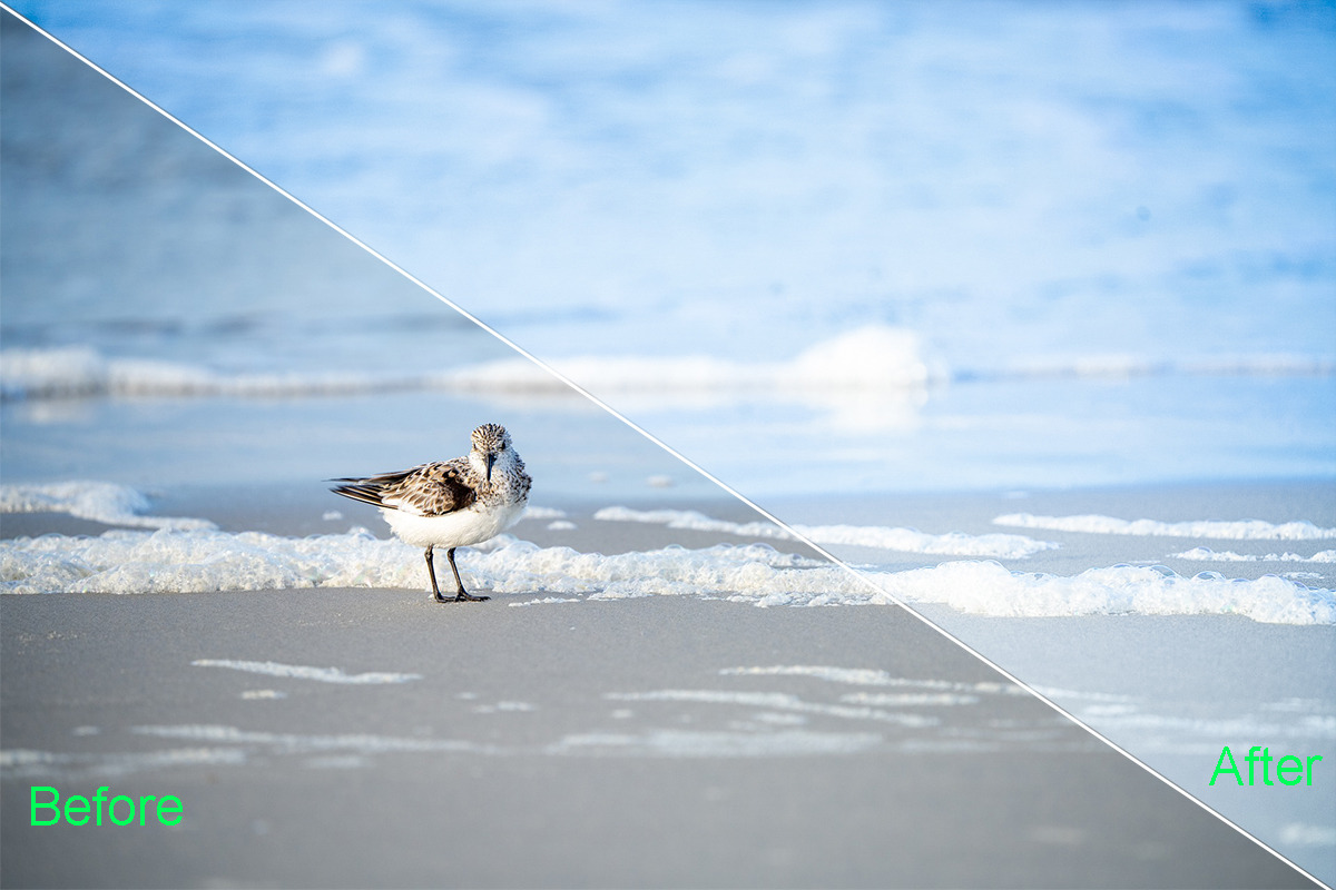 Nature Photoshop Actions 220 Bundle, an Action Add-On by ARTNEST (Photo 10 of 12)