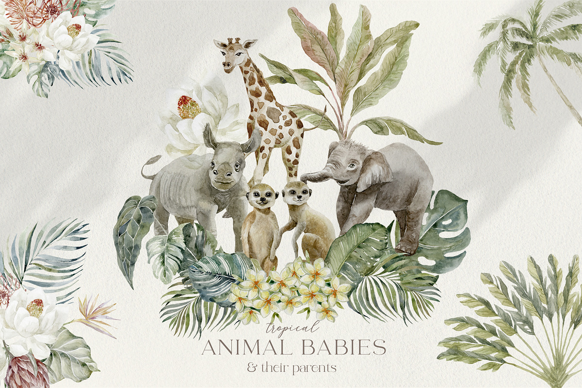 Animal Babies & Parents. Safari., an Animal Illustration by Designwork (Photo 1 of 16)