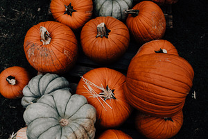 Fall pumpkin patch farmers market containing fall colors, fall foods, and