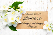 Sweet Jasmine Script, a Script Font by Beck McCormick (Thumbnail 3 of 4)
